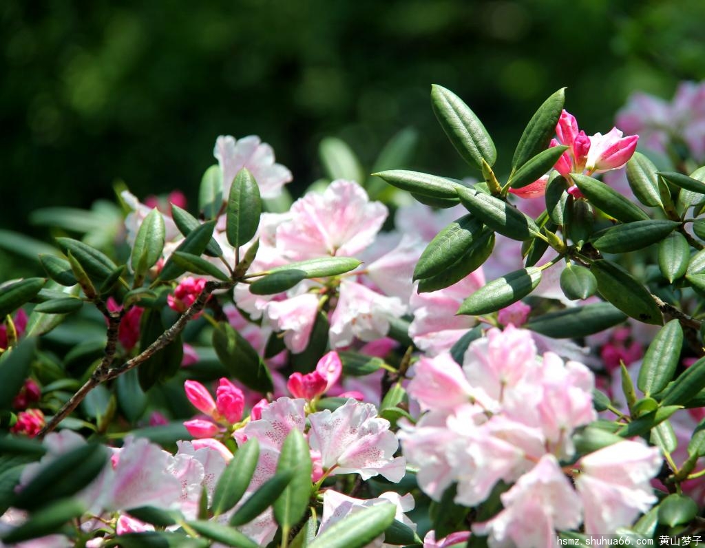 IMG_0328_����