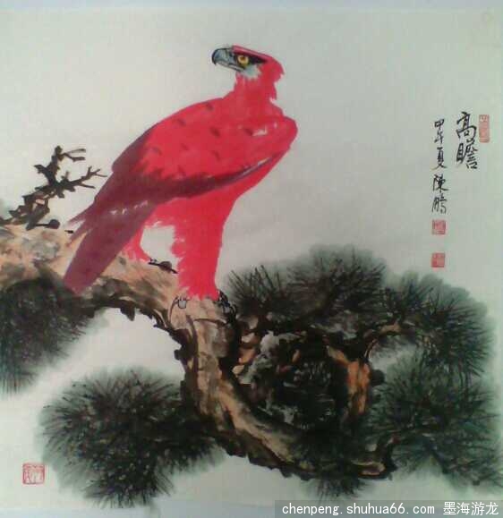 ��������������ӥ��ϵ��