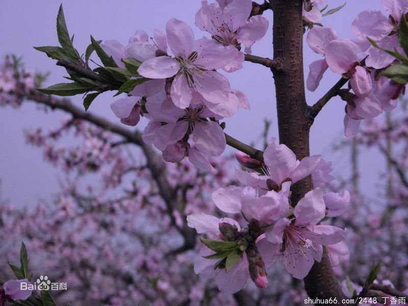 6159252dd42a2834c2a35e405bb5c9ea15cebf70