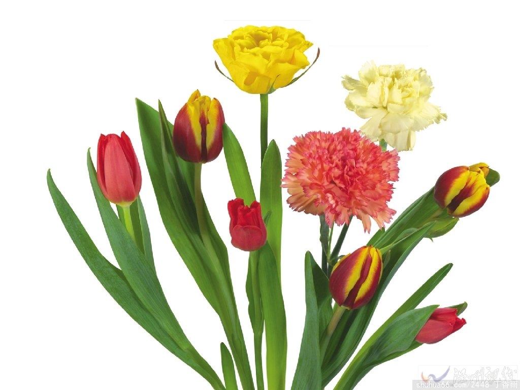 �����������衷��� - ë����