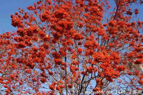 ���Ҹ�һ��������Ļ������/���Ӿ���ʫ��4��