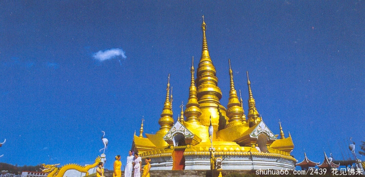 ��ɽ���/����  �뻯����  �ݴ����