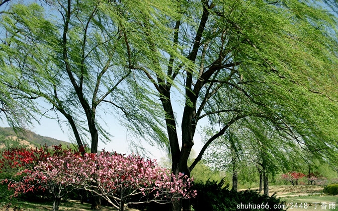 ���Ҳ�֪����������һ�����򴵡�