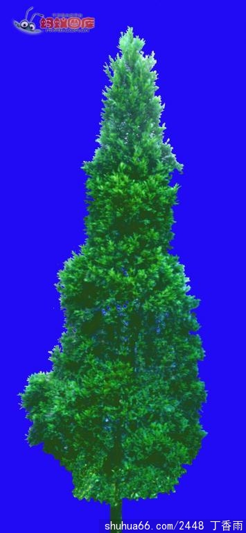 С