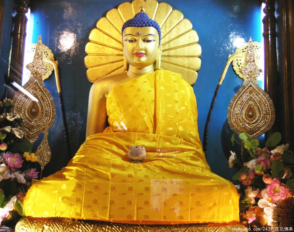 962bd40735fae6cdad80932d0fb30f2442a70f41