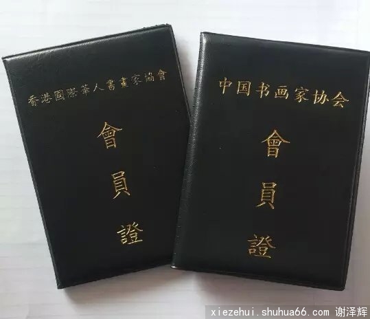 谢泽辉艺术简介