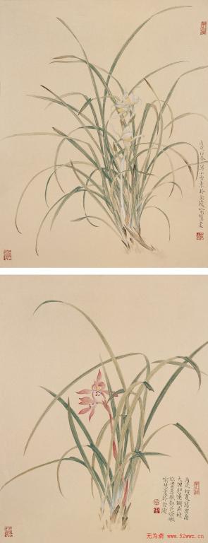 �����Ͼ���ԨԴ