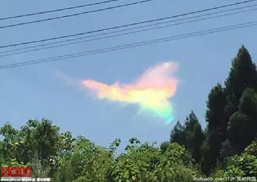 重庆现七彩祥云 形如火凤凰