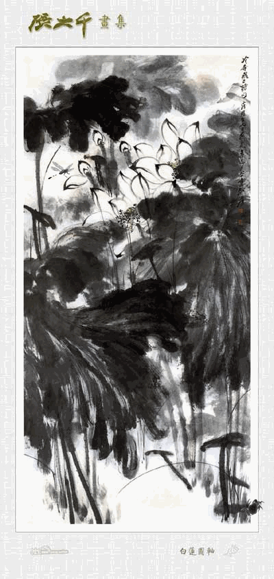 ��������ֻᶯ�Ĺ�����