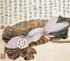 花鸟作品