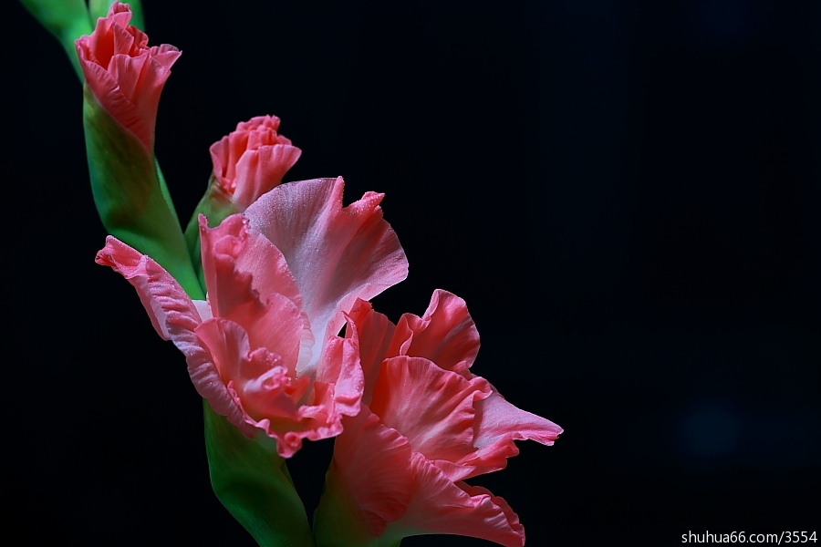 ��ƽˮ�ϲ�Ϸӽ���ҽ�����7��