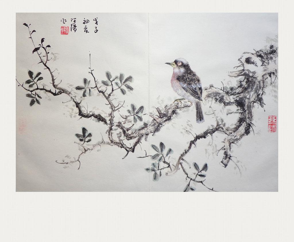 ��ǰ���Ĳ�ҳ-----ѧ����11��