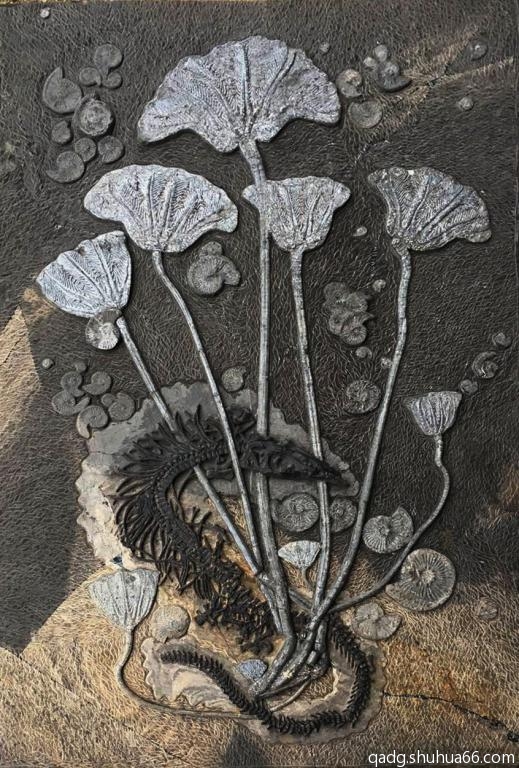 ż�����䡪���������ٺϹ�����ʯ