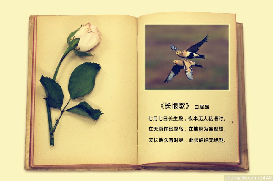 ���˽ڣ���ʫ�ʼ�����