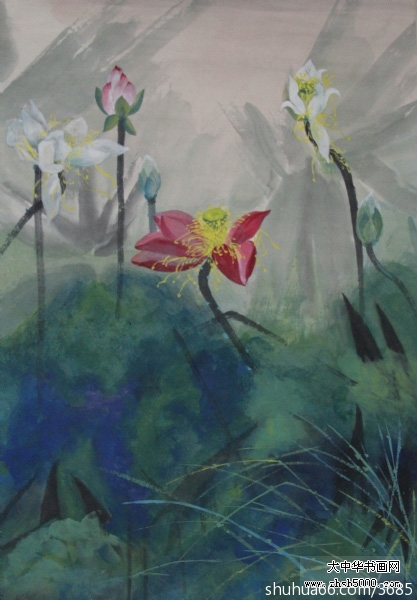 高泽刚艺术简历