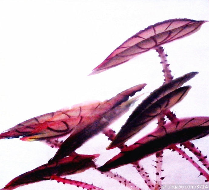 005vkTwxgy6XVbJ1Wbdc7&690