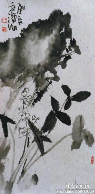 ����׸��