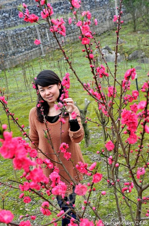 �����ݡ�����ϵ��ʫ��(1)