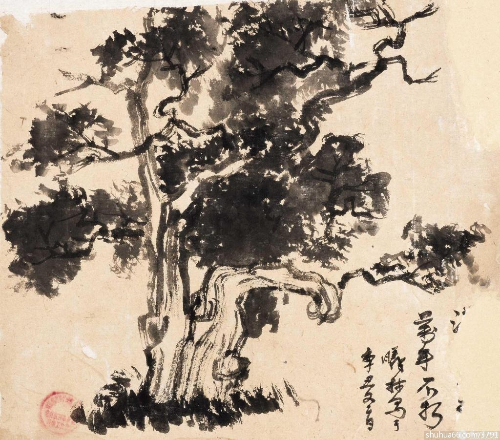 �鷨���й����������⣩