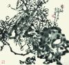 我的相册
