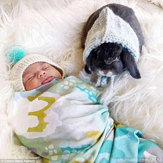 �ⲻ��ë����ߣ�������ѻ��÷Ž�Ӥ����