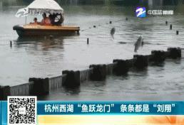 t01b2272b7a93f04c04