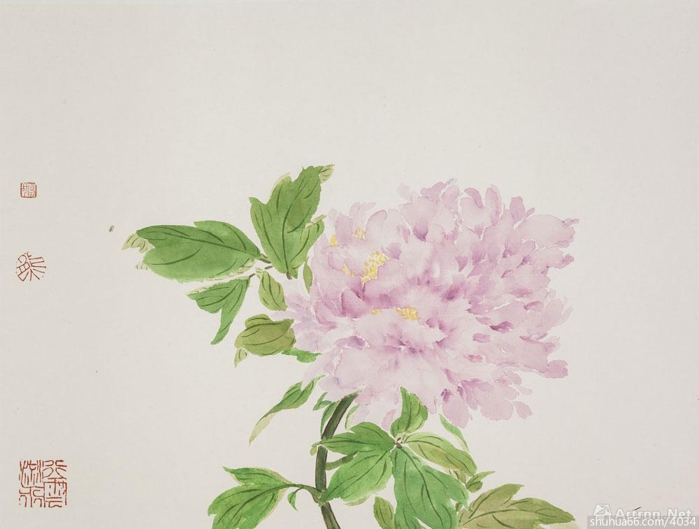 �����������˸� Ӣ������������