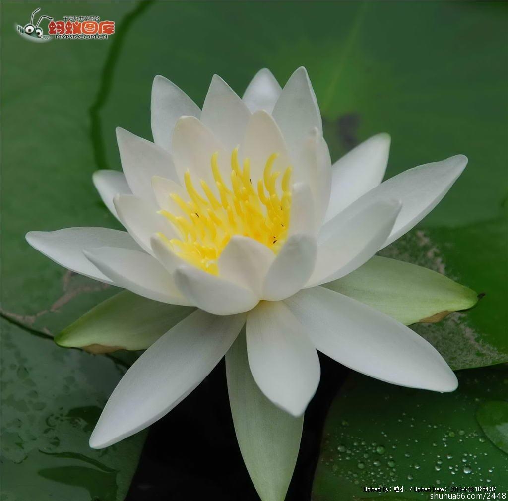 “宝宝”婚变感言