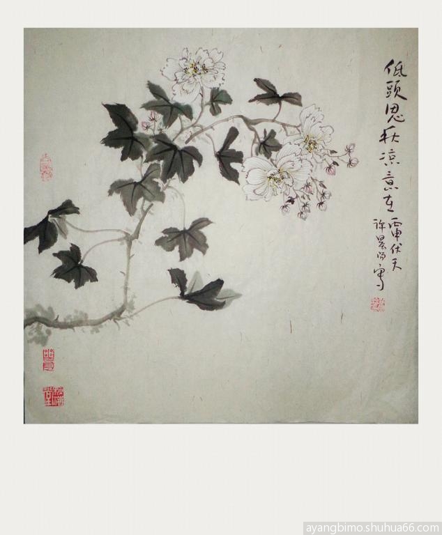 ѧ��ܽ�ػ�------��ͷ˼��������