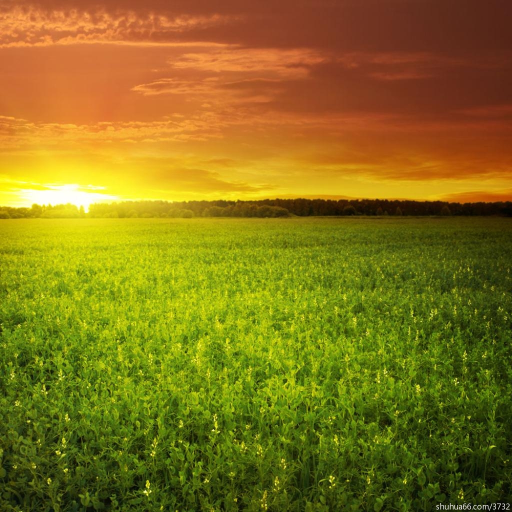 生活本身就是享受