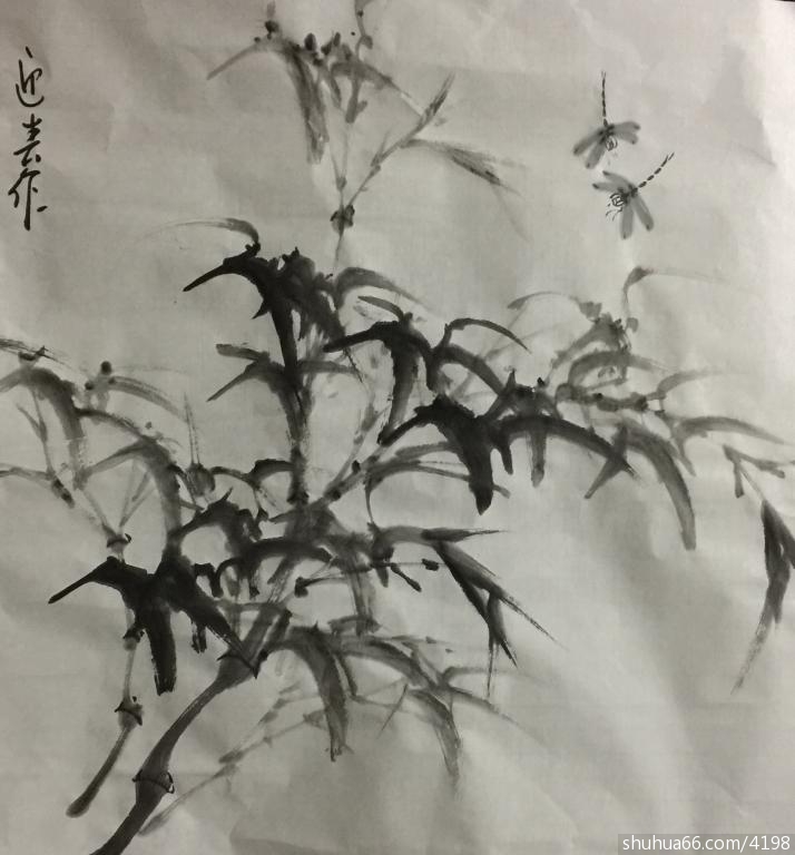 2016199