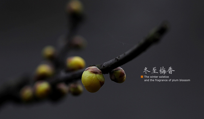 20140928164811_47541