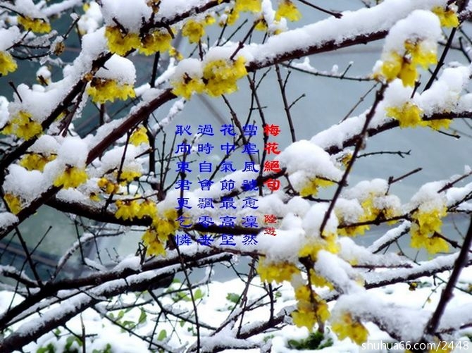 50f03825g9ad459c7f042&690