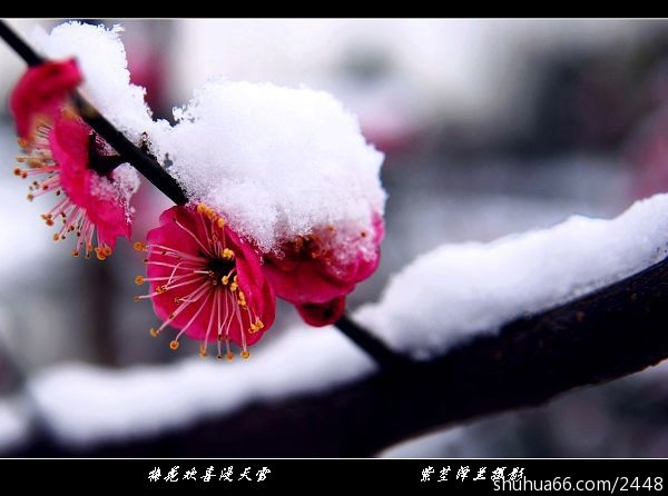 5e77a2a1x81467478d0ff&690