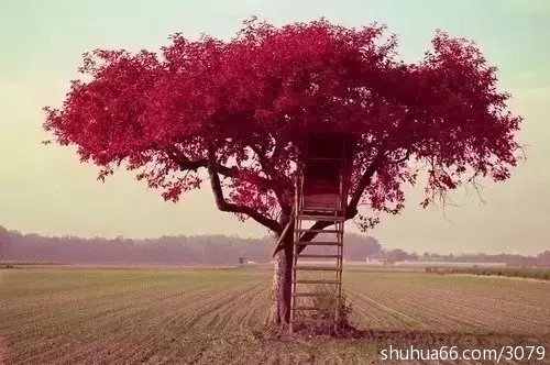 最好的教养,是尊重自己的父母