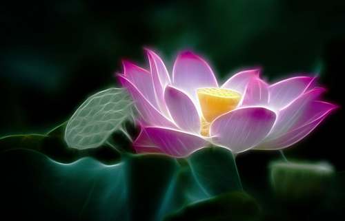 �й����ߵ�̫Զ̫�죬����������