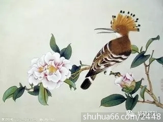 640.webp (1)