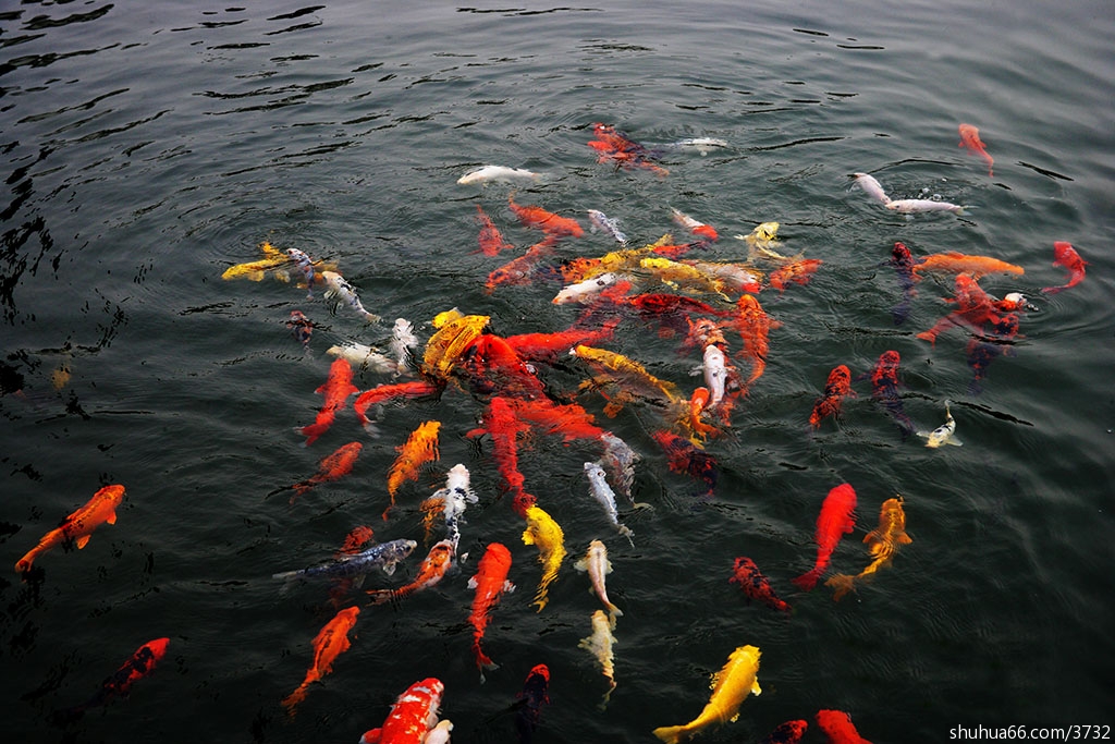 内心湛然,则无往而不乐