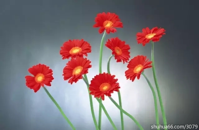 什么脾气是什么命