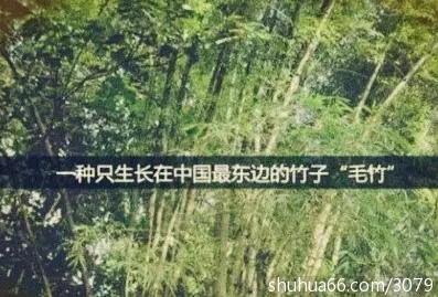 ���ӵ���ʾ