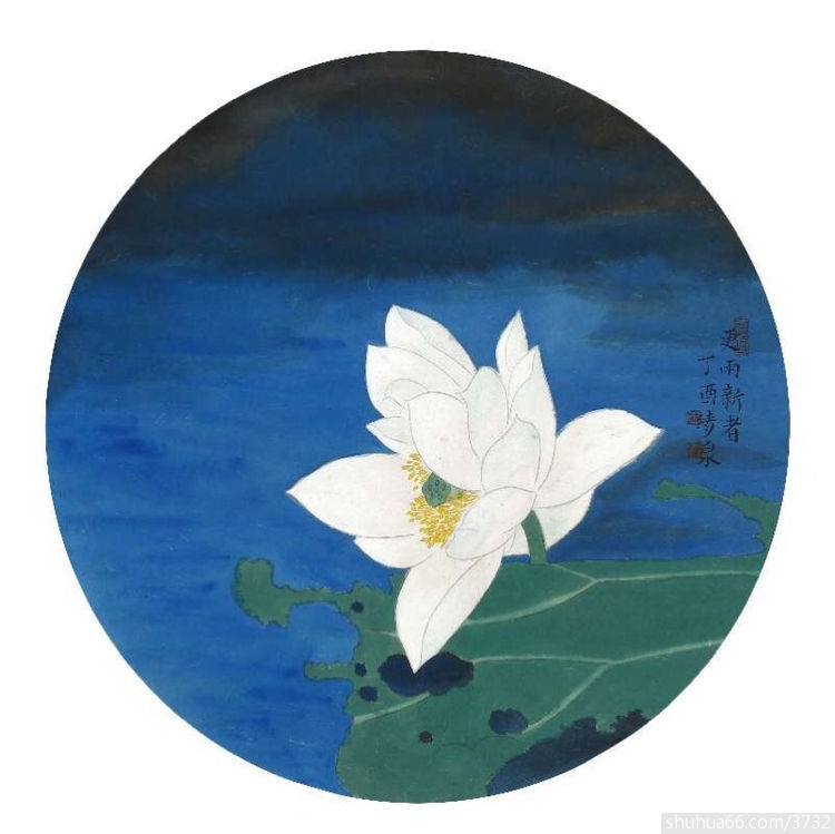 那些美到极致的文字,值得一看再看