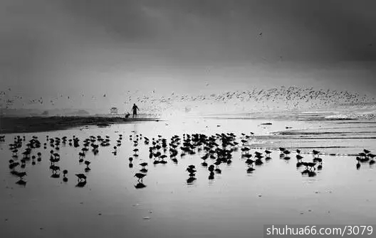 ���˴��������8������