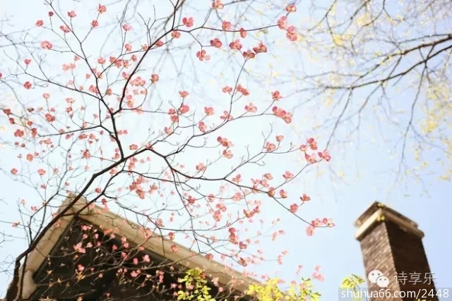 640.webp (1)
