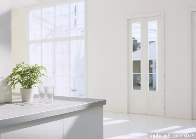 50��Сϸ�ڣ�����������������