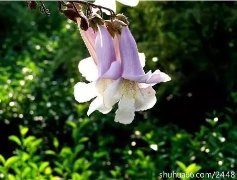 640.webp (1)