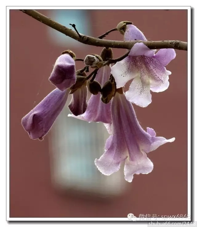 640.webp