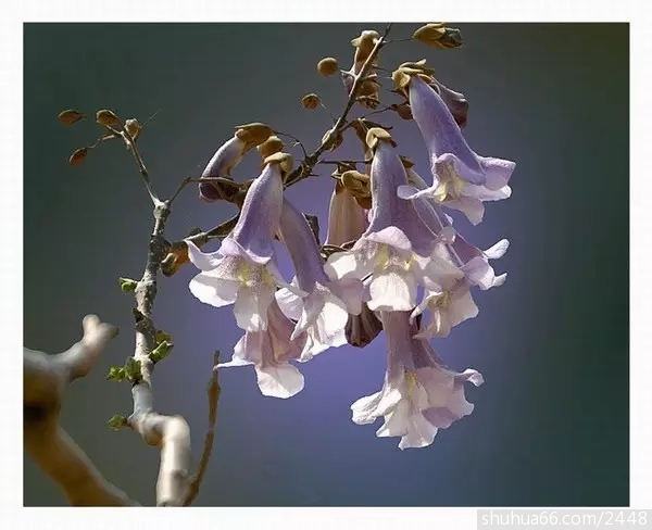 640.webp (2)