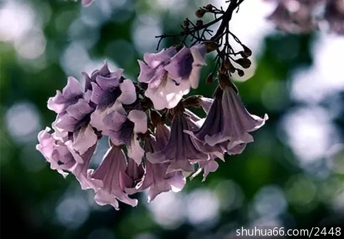 640.webp (5)