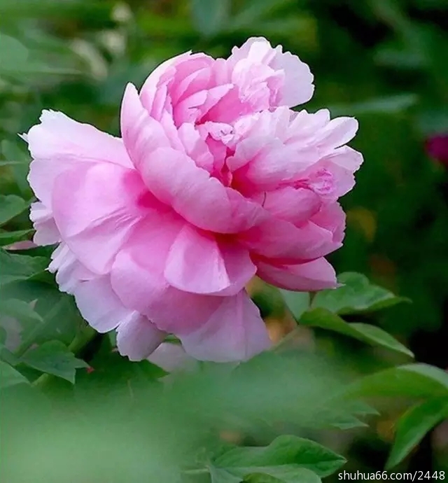 640.webp