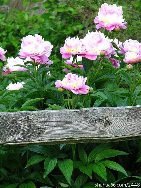 640.webp (1)
